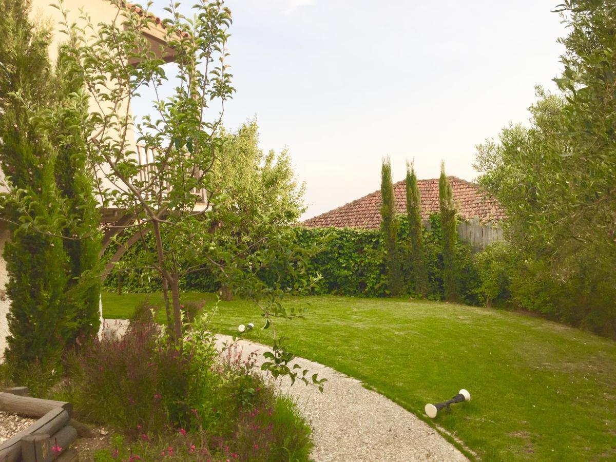 Sea View Villa In Olive Garden Nea Kallikrateia Extérieur photo