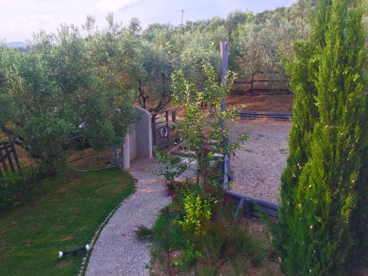 Sea View Villa In Olive Garden Nea Kallikrateia Extérieur photo