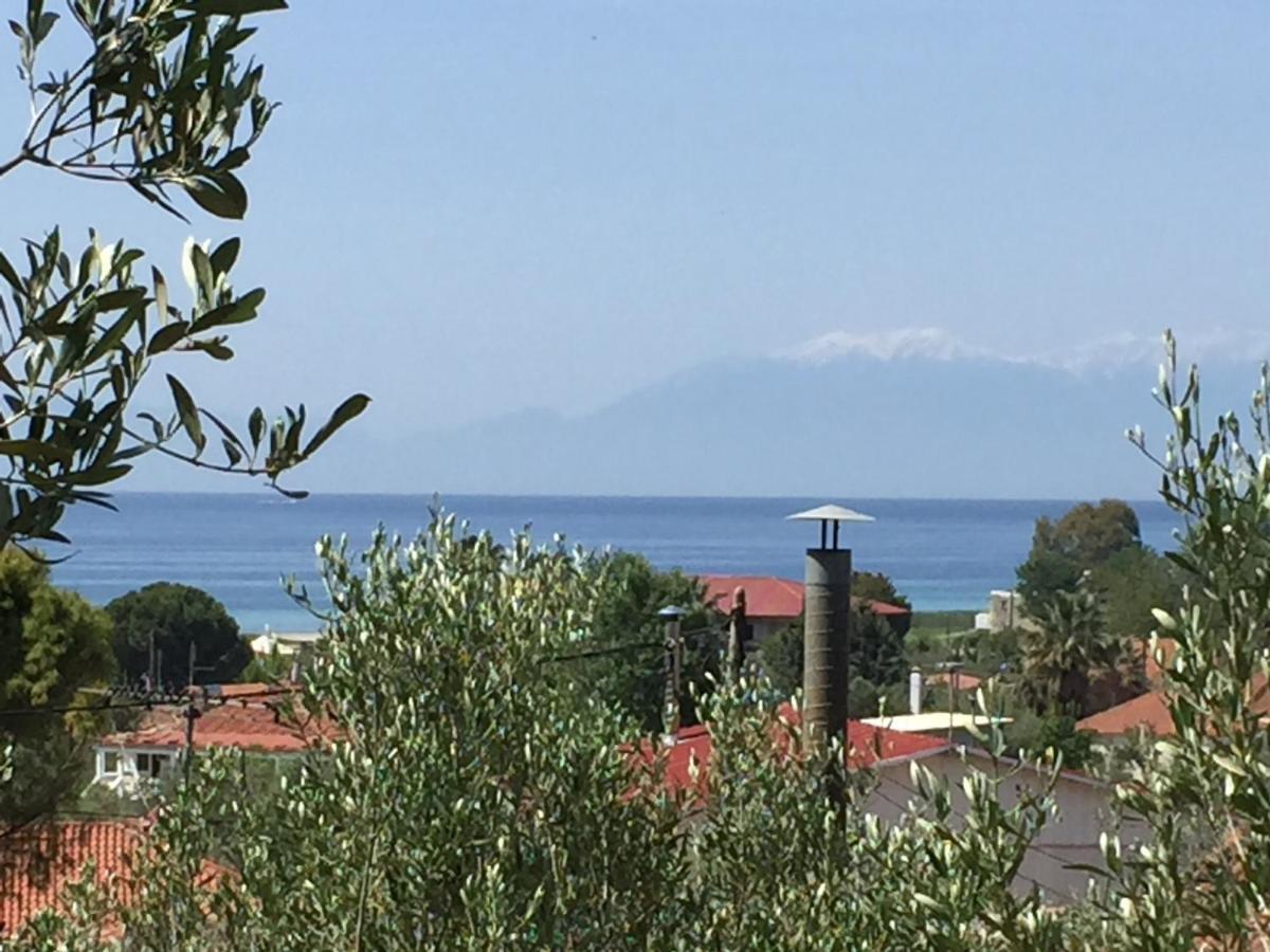Sea View Villa In Olive Garden Nea Kallikrateia Extérieur photo